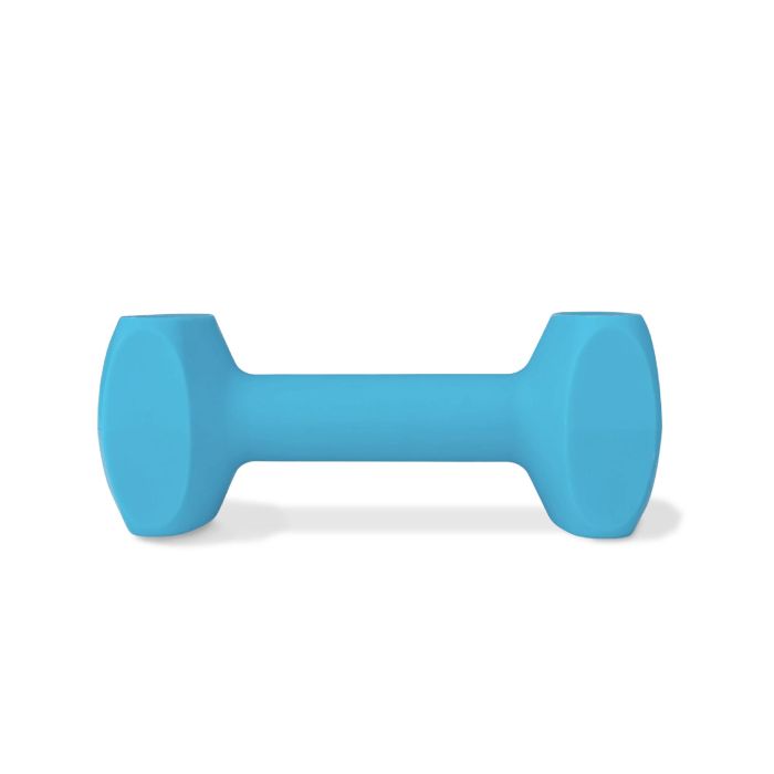 Coachi Training Dumbbell Grande Azul Claro - Juguete de Recuperación Flotante y Resistente para Adiestramiento de Perros y Cachorros 1 Coachi Training Dumbbell Grande Azul Claro - Juguete de Recuperación Flotante y Resistente para Adiestramiento de Perros y Cachorros 1