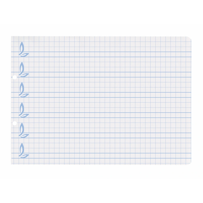 Liderpapel Recambio Cuarto Apaisado Pautaguía 100 Hojas 75gr Cuadriculado Pautado 6mm con Margen y 2 Taladros 5