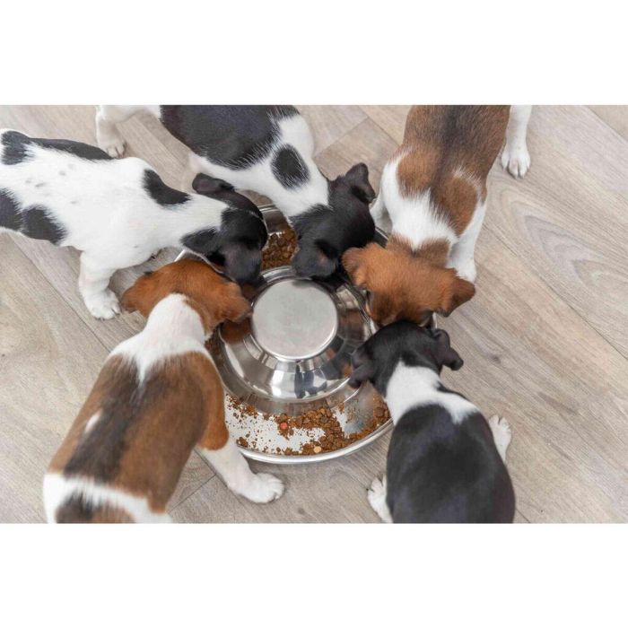 Comedero para Mascotas Trixie Acero Inoxidable 1,4 L Plateado 2 Comedero para Mascotas Trixie Acero Inoxidable 1,4 L Plateado 2