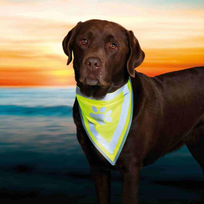 Bandana Reflectante para Mascotas Trixie 1 Bandana Reflectante para Mascotas Trixie 1