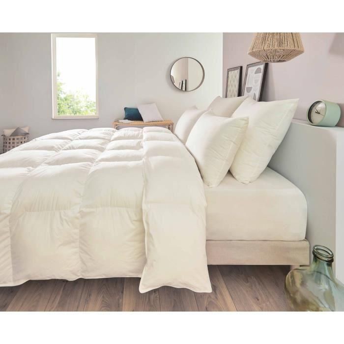 TOISON D'OR - Almohada - Pollux - Confort firme - 65x65cm - Blanco 1