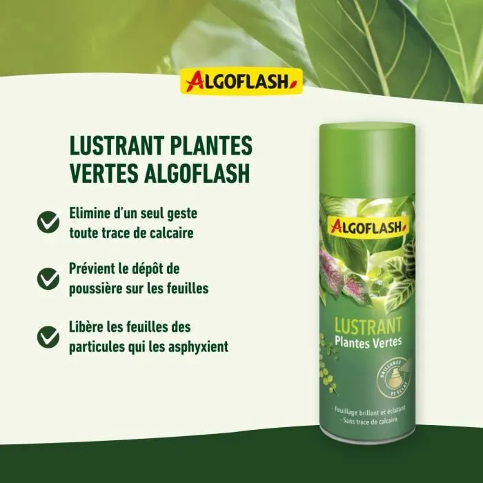 Algoflash Brillo Plantas Verdes Pulimento 250 mL 2 Algoflash Brillo Plantas Verdes Pulimento 250 mL 2