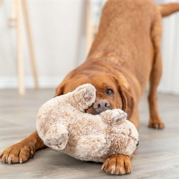 Peluche para perros Trixie Poliéster Felpa Koala 25 cm 1 Peluche para perros Trixie Poliéster Felpa Koala 25 cm 1