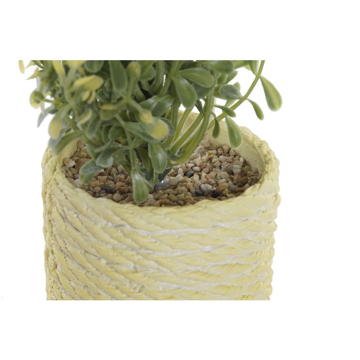 Planta DKD Home Decor Rosa Amarillo 15 x 17 x 15 cm (12 Unidades) 2