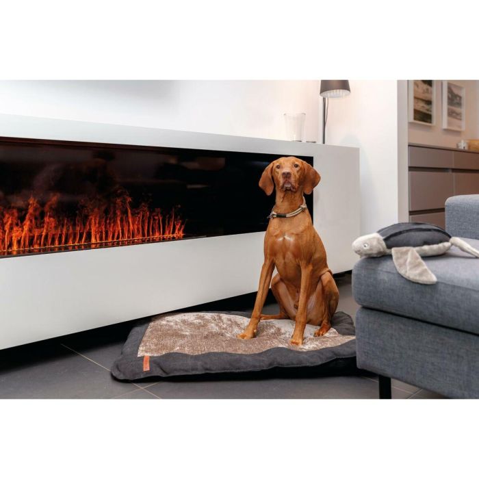 Collar de Adiestramiento para Perros Trixie Be Nordic Negro Arena 35 cm 1 Collar de Adiestramiento para Perros Trixie Be Nordic Negro Arena 35 cm 1