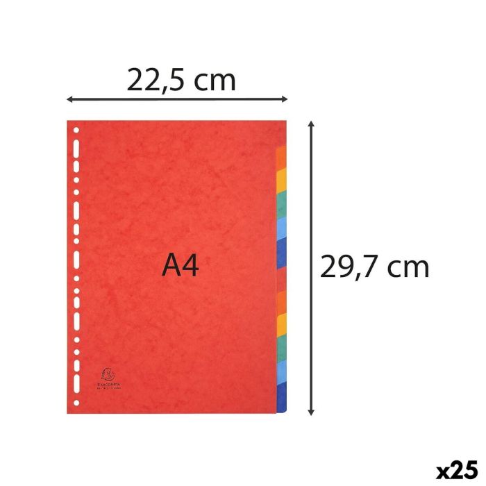 Separadores Exacompta A4 Multicolor (25 Unidades) (12 Unidades) 8