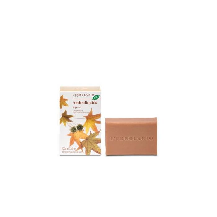 Ambraliquida Jabon Perfumado Pastilla 100Gr.