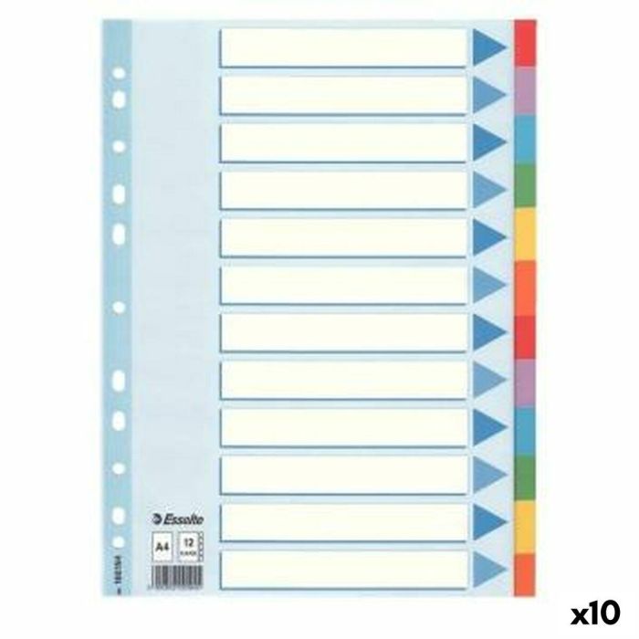 Separadores Esselte Multicolor A4 (10 Unidades) Separadores Esselte Multicolor A4 (10 Unidades)