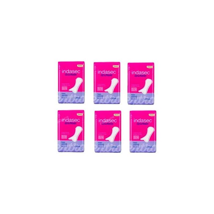 Indasec B20 Compresa Discreet Extra Promo 6U