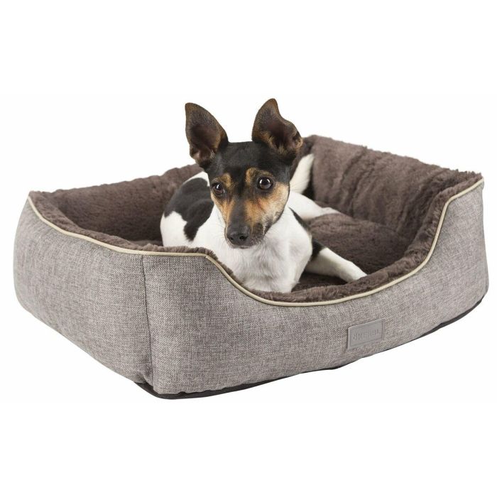 Cesta Samuel KERBL - 50 x 40 x 15 cm - Plateado y gris - Para perro 2 Cesta Samuel KERBL - 50 x 40 x 15 cm - Plateado y gris - Para perro 2