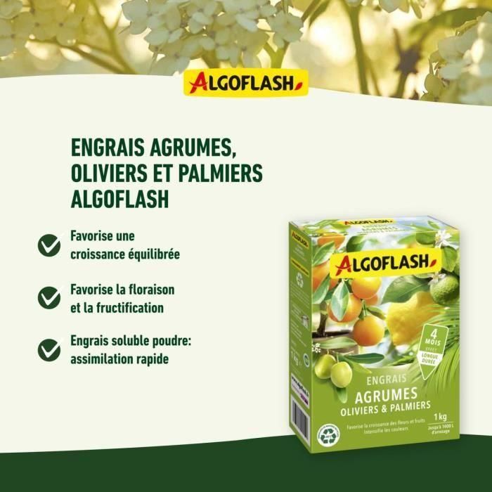 Fertilizantes de cítricos, olivers y palmeras - Algoflash Naturasol - 1 kg 2 Fertilizantes de cítricos, olivers y palmeras - Algoflash Naturasol - 1 kg 2