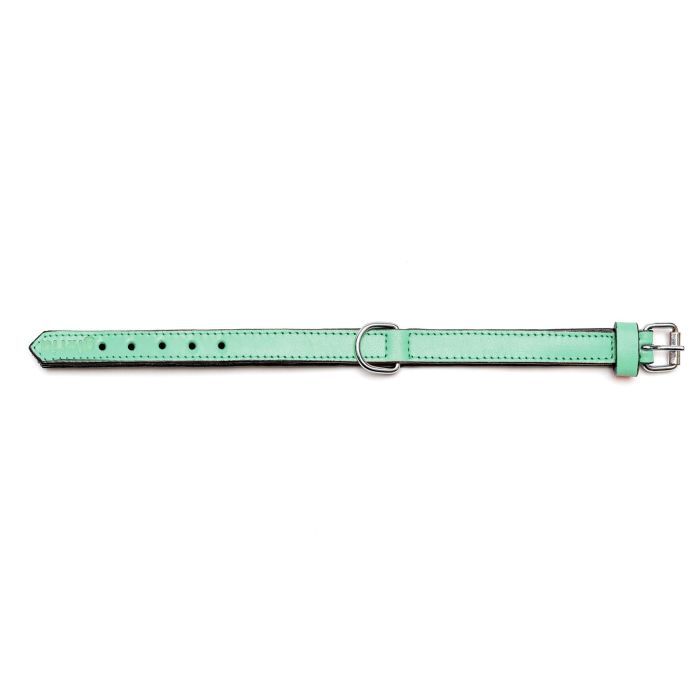 Collar Piel Acolchado 50 cm X 25 mm Verde 2 Collar Piel Acolchado 50 cm X 25 mm Verde 2