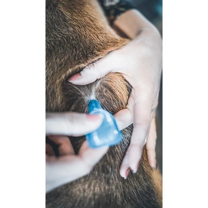 VETOCANIS Pipette Action Duo Spot on - Repelente de pulgas y garrapatas para perros grandes - Juego de 2 pipetas 4 VETOCANIS Pipette Action Duo Spot on - Repelente de pulgas y garrapatas para perros grandes - Juego de 2 pipetas 4