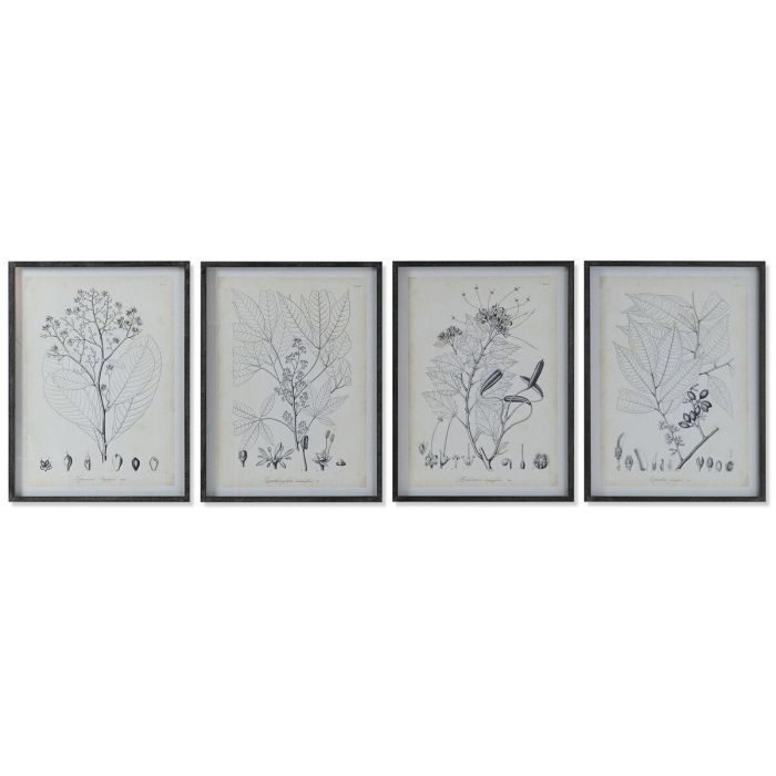 DKD Home Decor Cuadro Moderno Set 4 Unidades Negro Beige 60x45x2.5cm de Cristal y MDF con Diseño Botánico DKD Home Decor Cuadro Moderno Set 4 Unidades Negro Beige 60x45x2.5cm de Cristal y MDF con Diseño Botánico