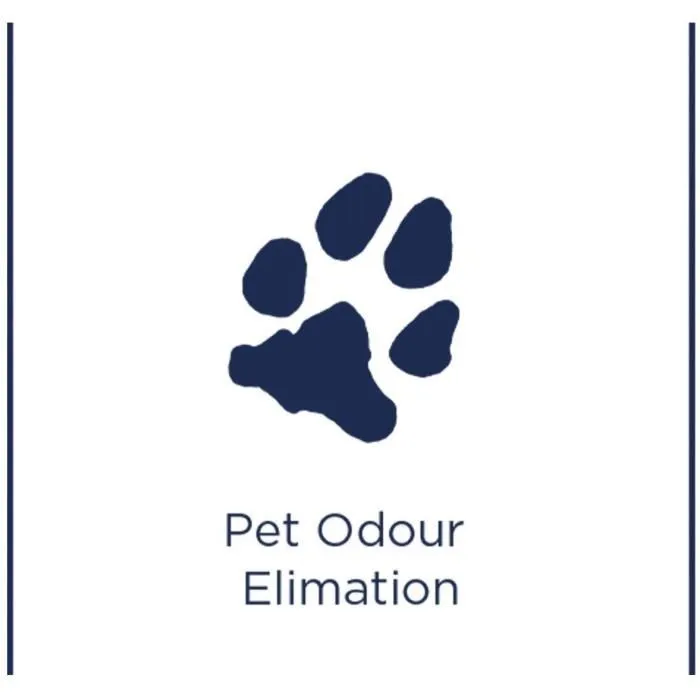 Bissell BIS0011120182460 Spot & Stain Pet Limpiador de Manchas y Suciedad para Mascotas 1L 2