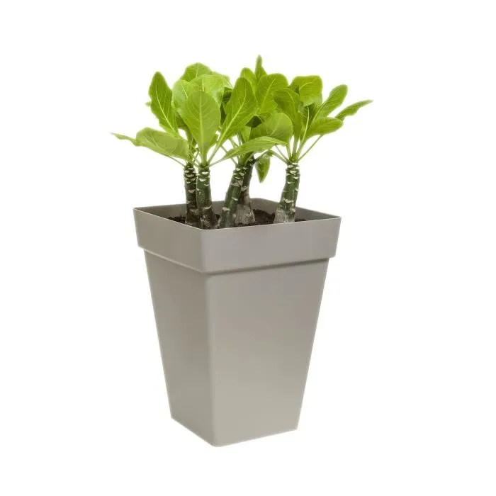 Elho Planta contenedor cuadrado alto 37 cm Blanco 1