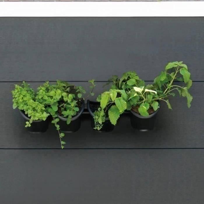 Jardinera de pared - Kit de pared compuesto por soporte de pared y 4 maceteros (1 L) - Negro - Dim A 15 x L 60 cm - NATURE 2 Jardinera de pared - Kit de pared compuesto por soporte de pared y 4 maceteros (1 L) - Negro - Dim A 15 x L 60 cm - NATURE 2