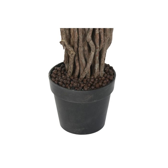 Planta DKD Home Decor Verde 100 x 180 x 100 cm (2 Unidades) 3 Planta DKD Home Decor Verde 100 x 180 x 100 cm (2 Unidades) 3