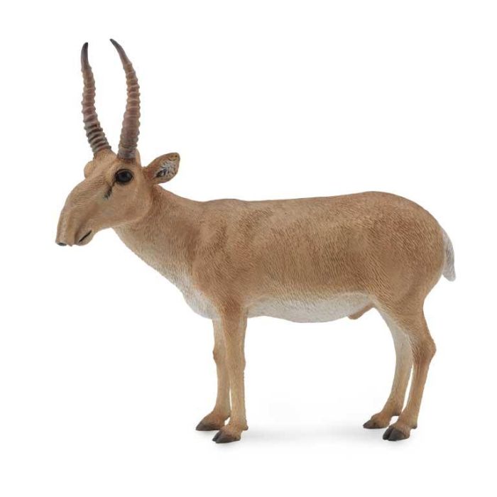 Collecta 88808 Antílope Saiga Figura Modelo Réplica Escala L Pintada a Mano Detallada Animal Salvaje Educativa Niños +3 Años Collecta 88808 Antílope Saiga Figura Modelo Réplica Escala L Pintada a Mano Detallada Animal Salvaje Educativa Niños +3 Años