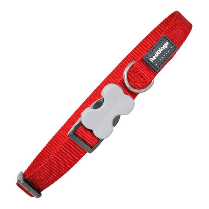 Red Dingo Collar Perro Liso Rojo 12mm x 20-32cm Nylon Duradero Ajustable y Cómodo con Hebilla de Liberación Rápida Acero Inoxidable