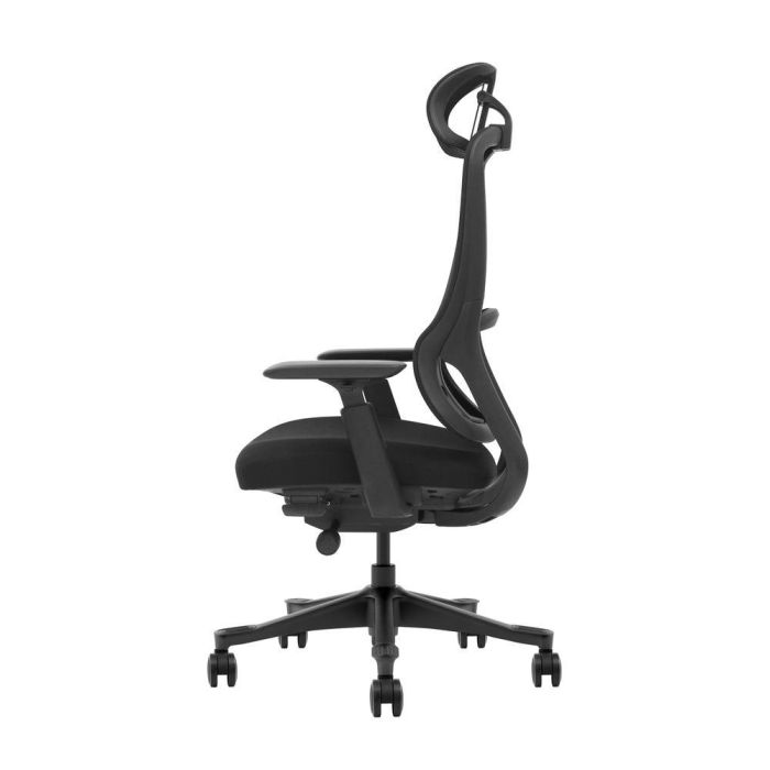 Silla Oficina Lira Apoyo Lumbar Sistema 6 Silla Oficina Lira Apoyo Lumbar Sistema 6