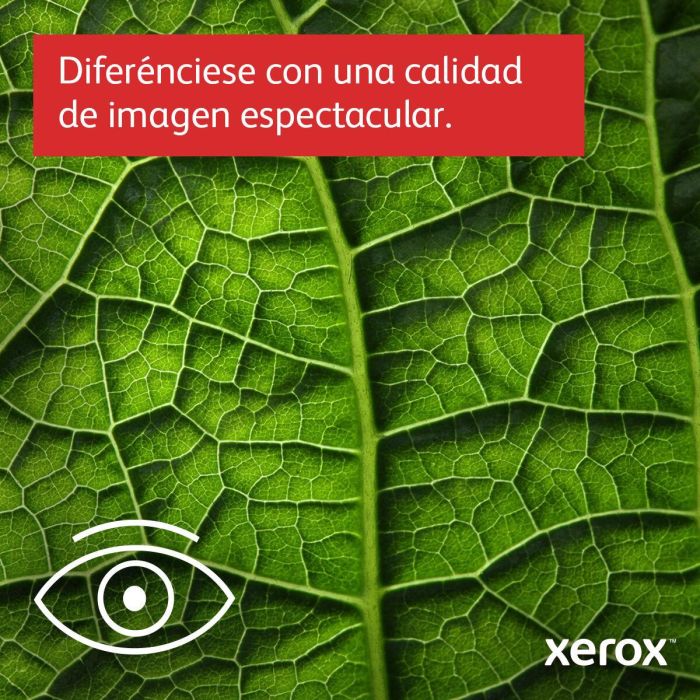 Impresora Multifunción Xerox C415V_DN 14