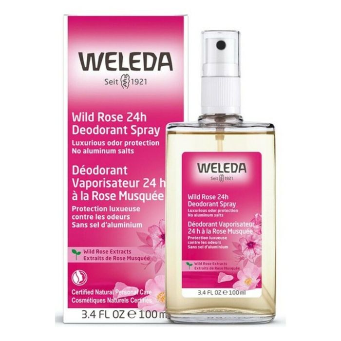 Desodorante Roll-On Rosa Mosqueta Weleda 4001638088084 (100 ml) 1