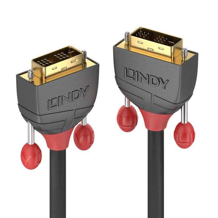 Cable DVI LINDY 36241 Negro