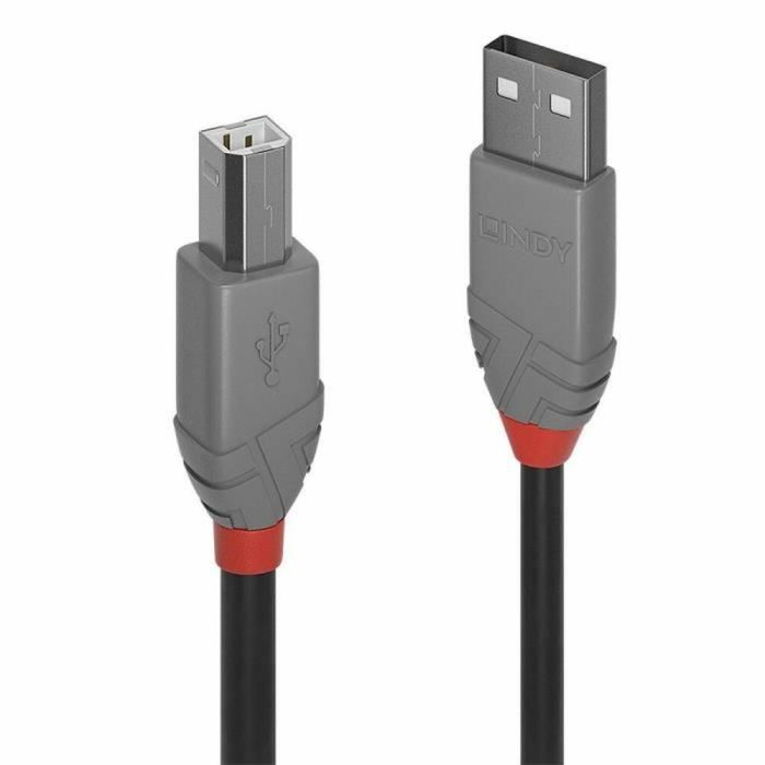 Cable USB A a USB B LINDY 36672 Negro 1 m