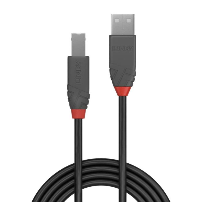 Cable USB A a USB B LINDY 36677 10 m Negro Gris 1