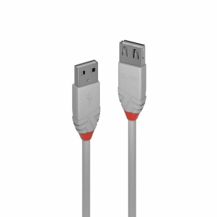 Cable USB LINDY 36713 2 m Negro Gris