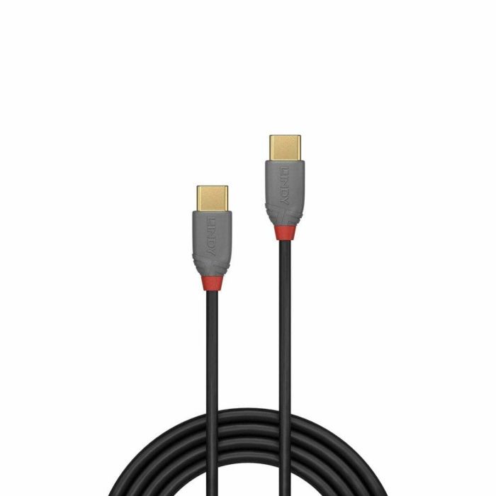 Cable USB C LINDY 36872 2 m Negro Gris 1