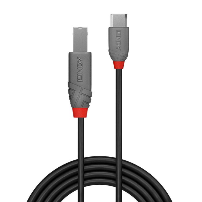 Cable USB C a USB B LINDY 36942 Negro 2 m 1