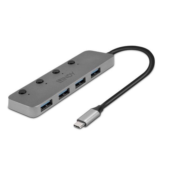 Hub USB-C LINDY Gris 1