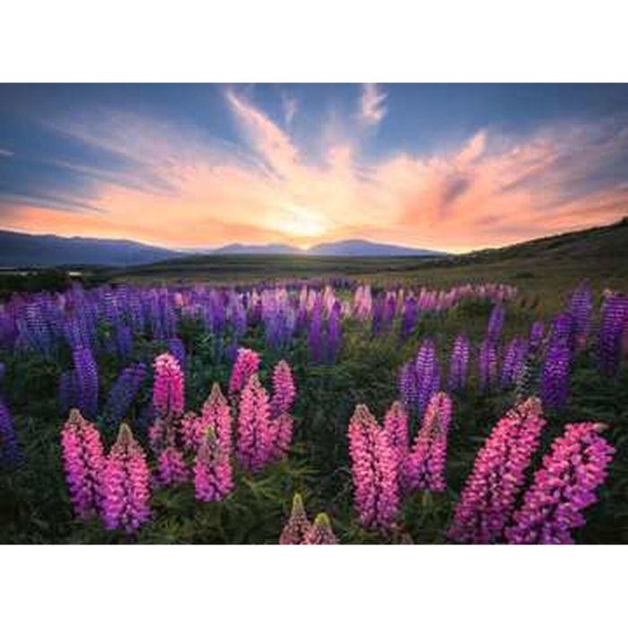 Puzzle Ravensburger 17492 Lupines 500 Piezas 1