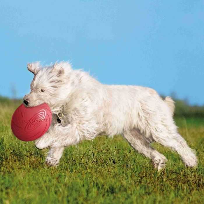 Frisbee Trixie Azul Naranja Goma Caucho 1