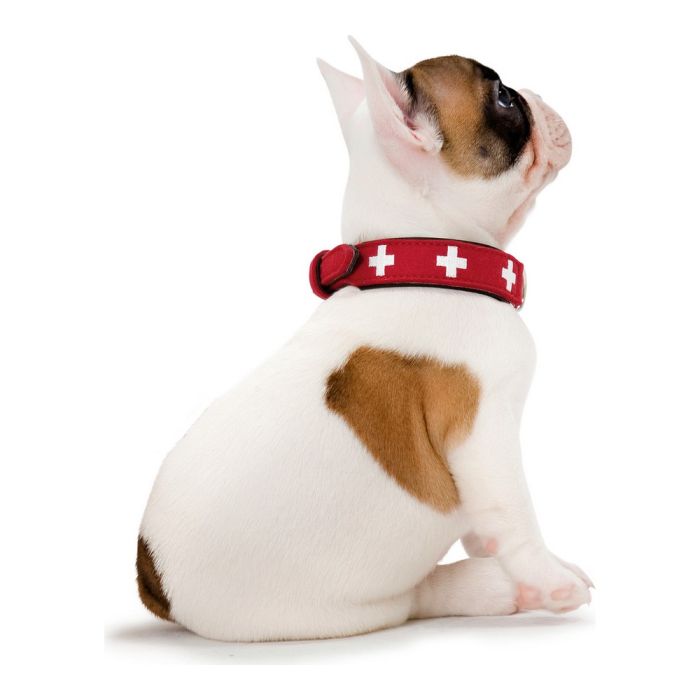 Collar para Perro Hunter Swiss Rojo/Negro (41-49 cm) 1