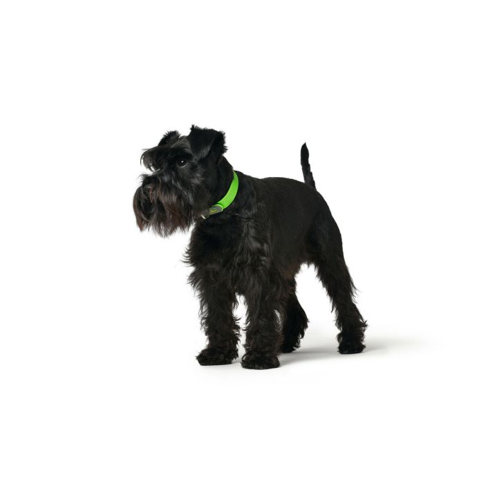 Collar para Perro Hunter Convenience 23-31 cm Verde XS/S 1