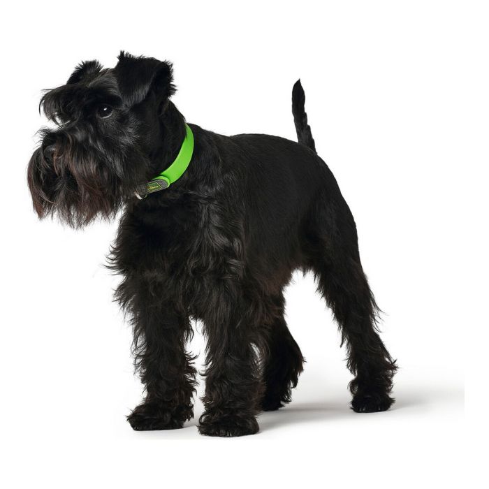 Collar para Perro Hunter Convenience Talla S Verde (28-36 cm) 1