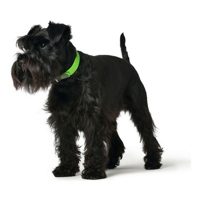 Collar para Perro Hunter Convenience Verde Talla S/M (33-41 cm) 1