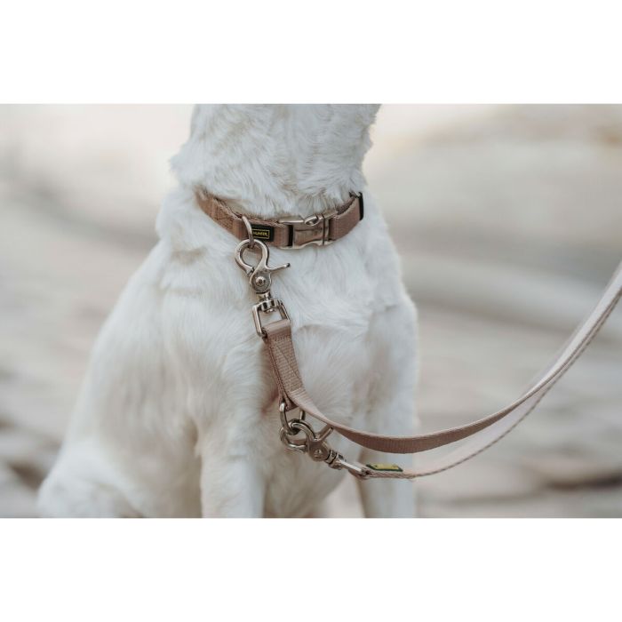 Collar para Perro Hunter Inari Beige M 30-45 cm 2