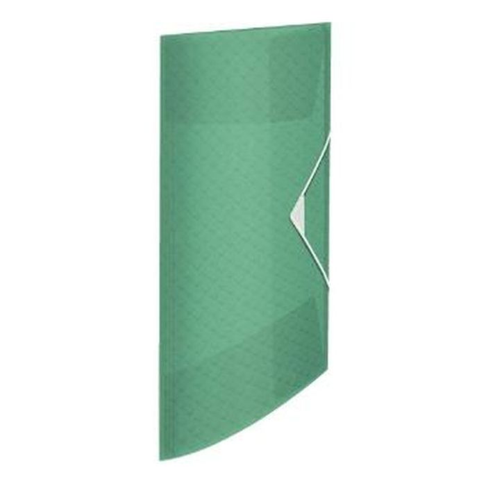 Carpeta Esselte Colour'ice A4 Verde (4 Unidades) 1