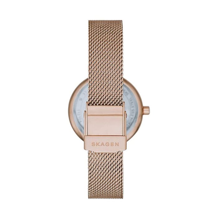 Reloj Mujer Skagen AMBERLINE (Ø 28 mm) 3