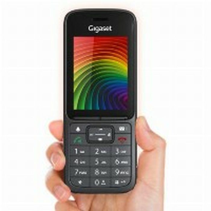 Teléfono Fijo Gigaset S30852-H2975-R102 Antracita 20