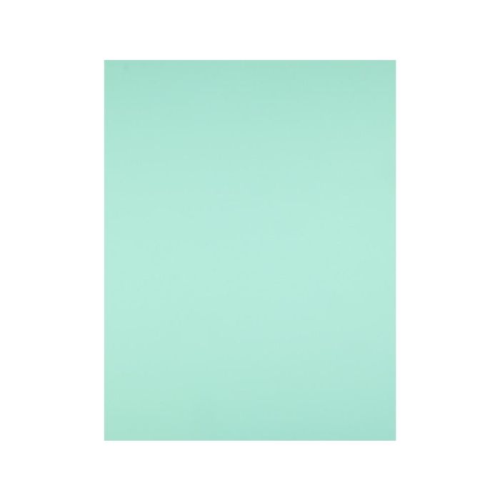 Cartulina Liderpapel 50x65 cm 240 gr-M2 Verde 125 unidades 2