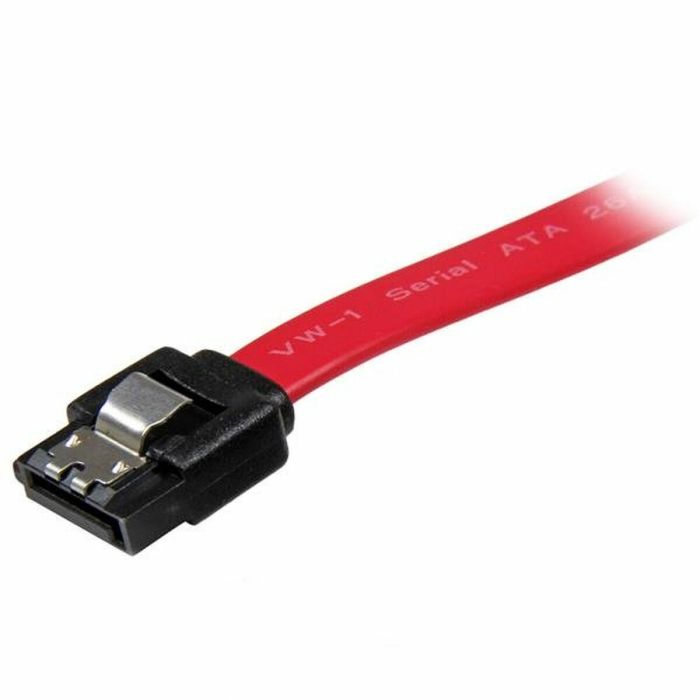 Cable SATA Startech LSATA8               1