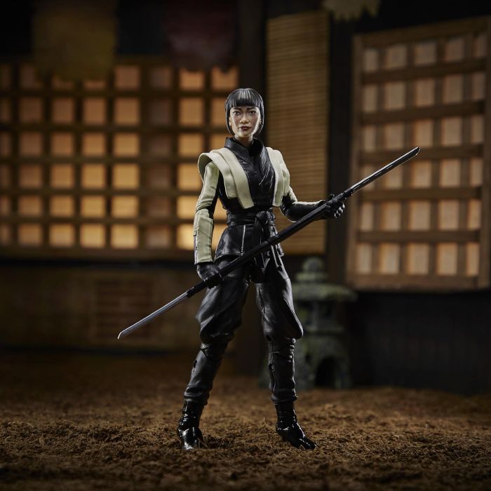 Figura 15Cm Akiko Gijoe F0112 Hasbro 4