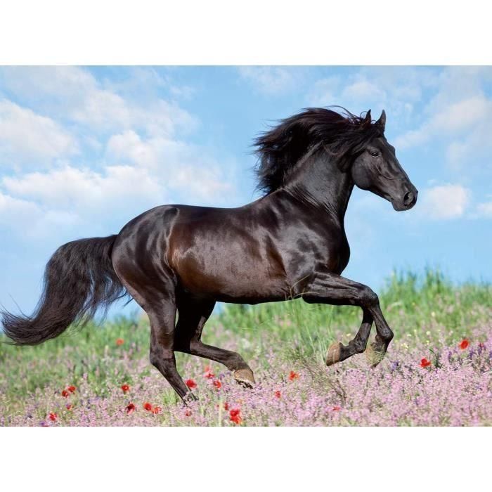 Puzzle XXL de semental negro de 200 piezas - Niño - Paisaje y naturaleza - Edad 8 - 12803 - Ravensburger 1 Puzzle XXL de semental negro de 200 piezas - Niño - Paisaje y naturaleza - Edad 8 - 12803 - Ravensburger 1