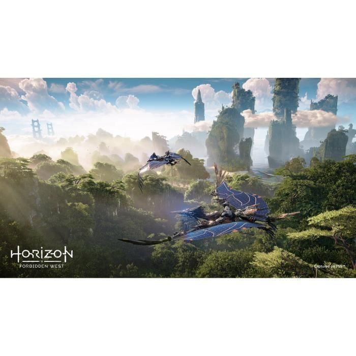 Horizon: Juego PRobido de PS4 West (actualización de PS5 disponible) 4 Horizon: Juego PRobido de PS4 West (actualización de PS5 disponible) 4