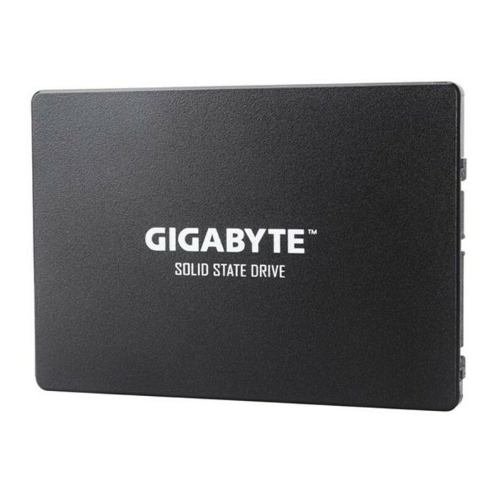 Disco Duro Gigabyte GP-GSTFS31256GTND 256 GB SSD 2